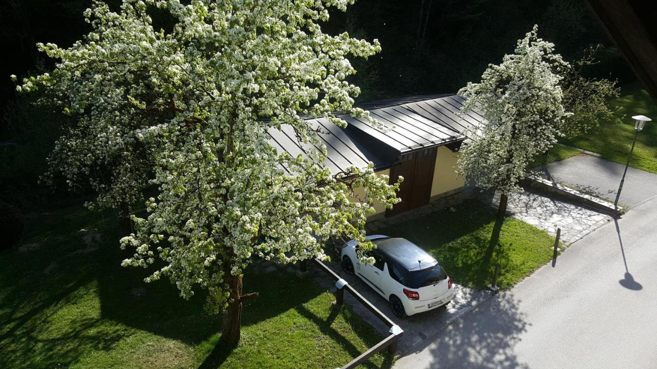 Apartament Imlau 51 Zewnętrze zdjęcie